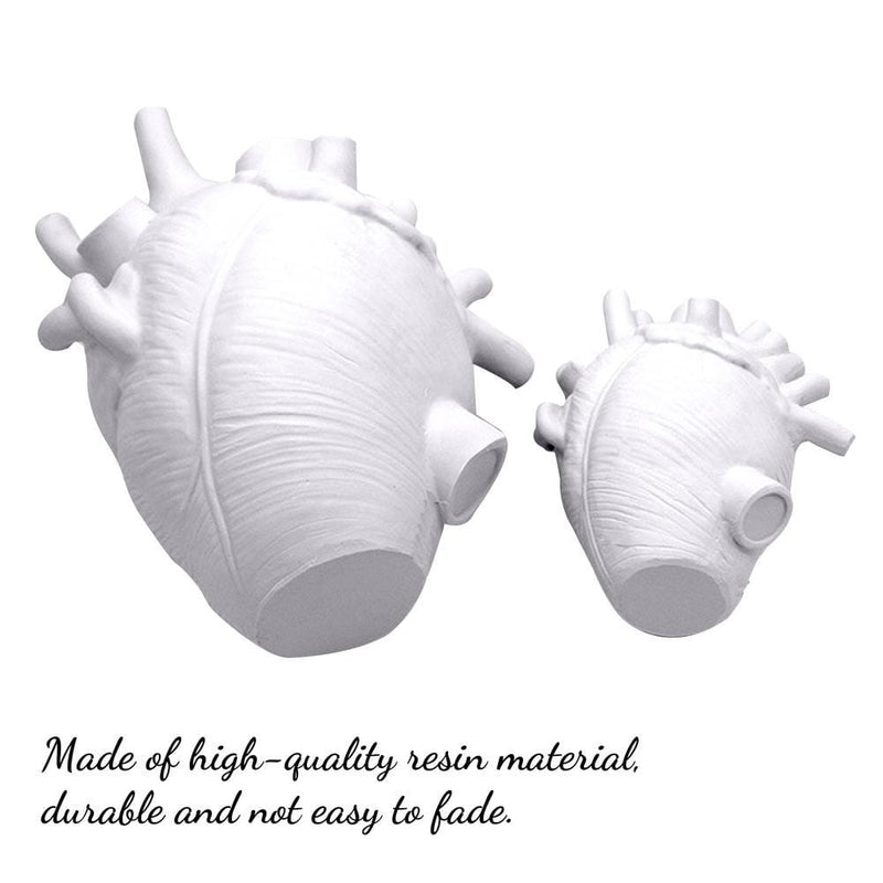 Upside Down Interiors Heart Vase Anatomical Heart Shaped Flower Vase