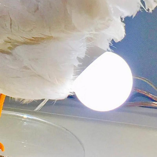 Upside Down Interiors White Chicken Egg Lamp Rooster Egg LED Night Light